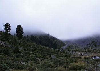landschaft sommer appartement in fiss
