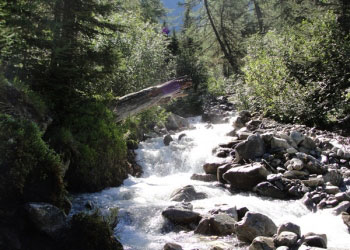 sommer landschaft appartement in fiss